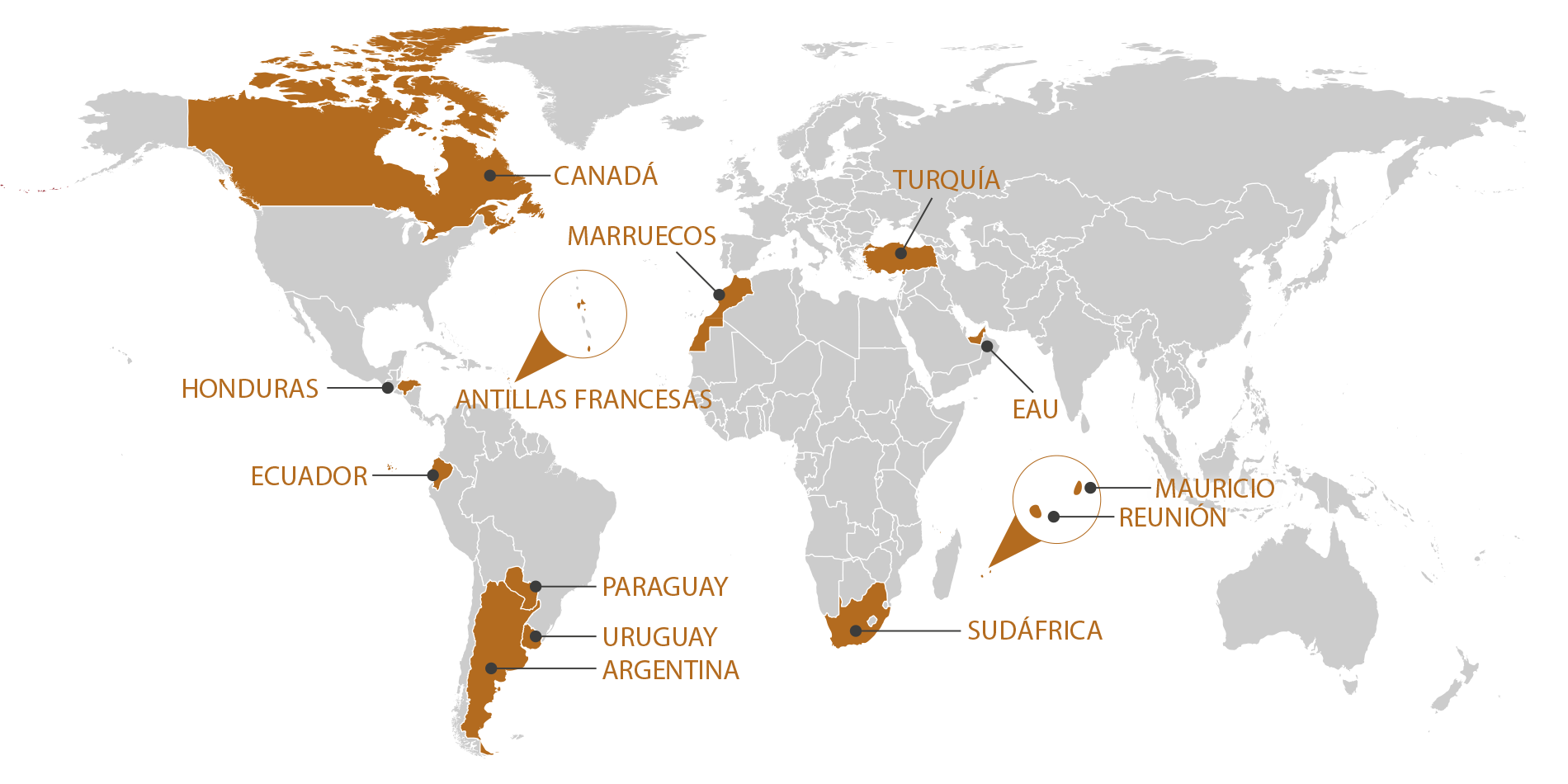 RGIS_FRANCHISE_WORLD_ES_1125. RGIS_FRANCHISE_WORLD_ES_1125.